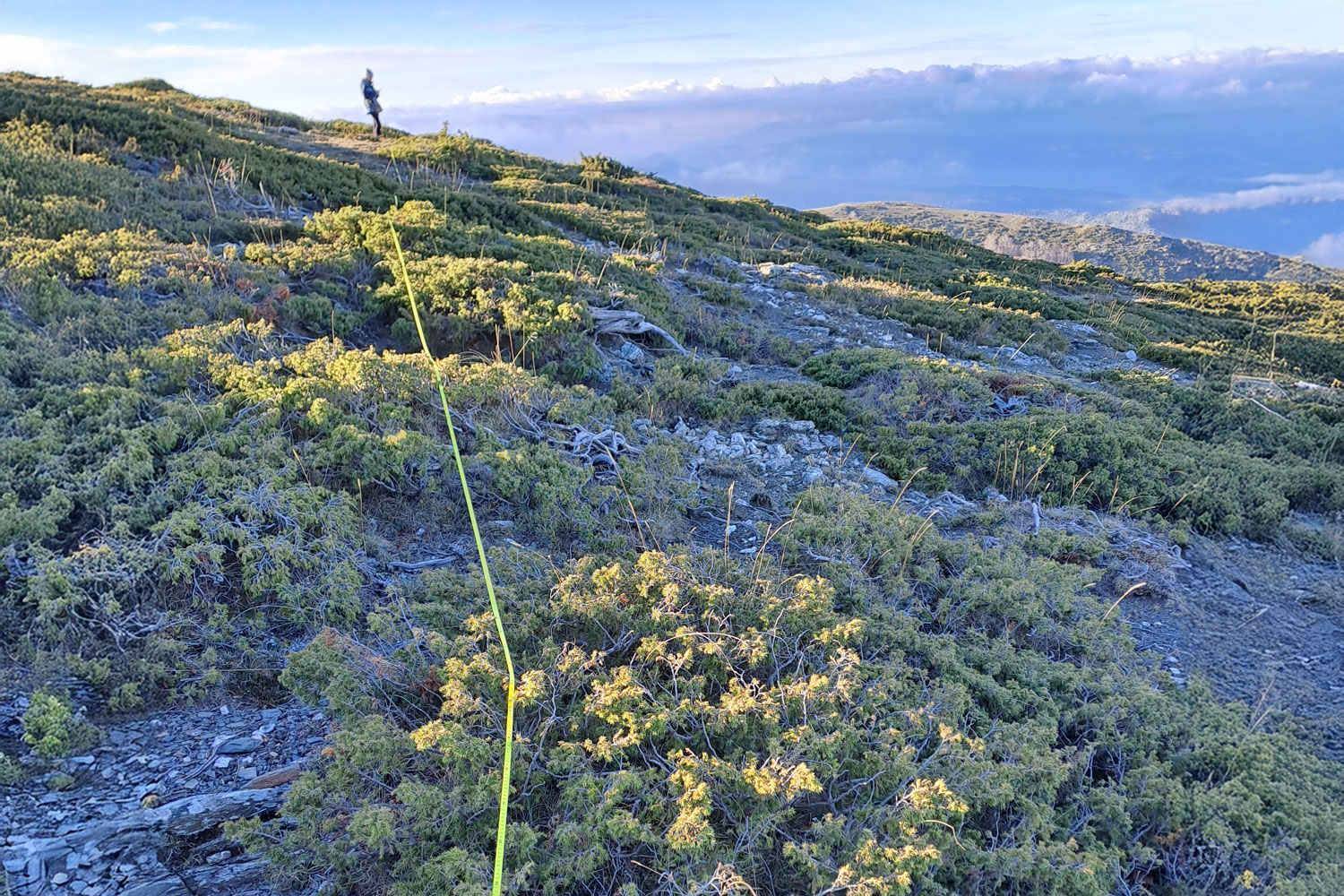 Projecte de recuperació d’espais oberts al Matagalls (Parc Natural del Montseny) - Gestió Rural 23