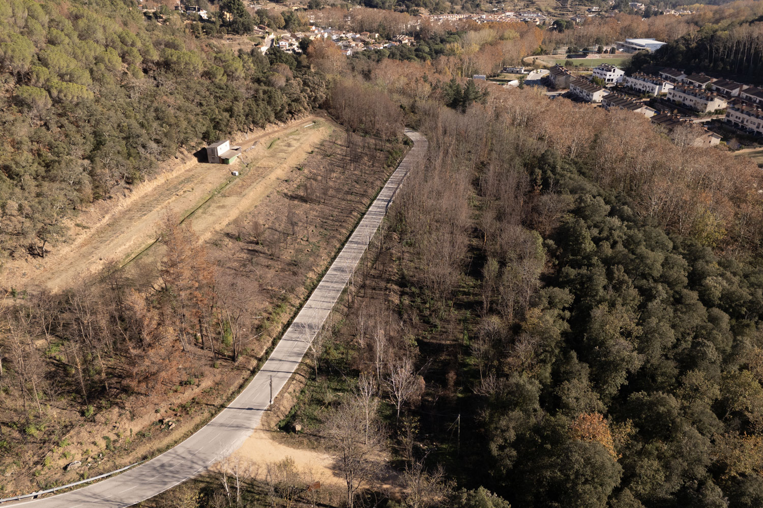Redacció del projecte de recuperació d’una zona cremada l’agost de 2023 (Arbúcies) - Gestió Rural 23