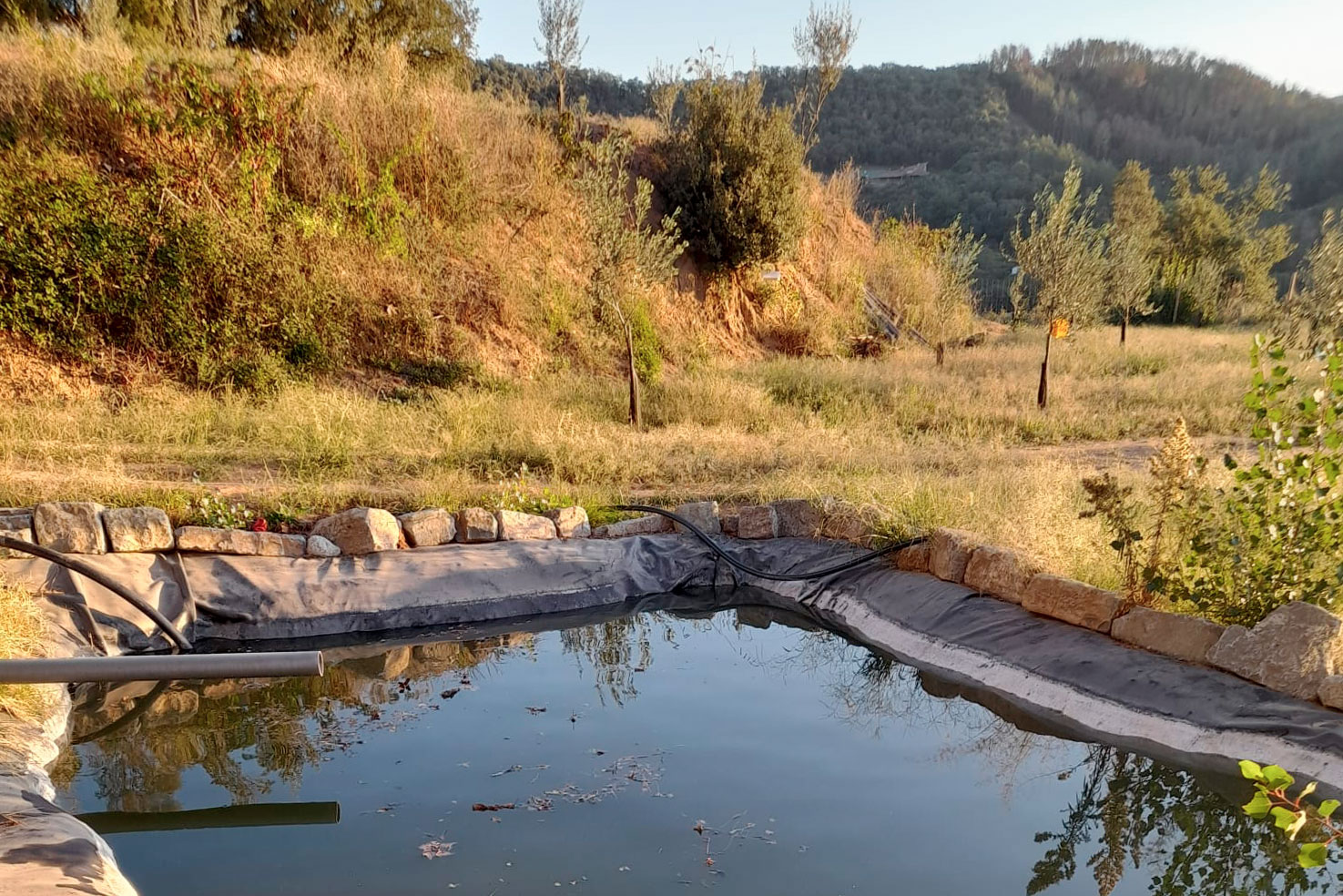 Projecte de construcció d’una bassa de reg i instal.lació d’un sistema de reg per degoteig a una finca agroforestal a Arbúcies - Gestió Rural 23