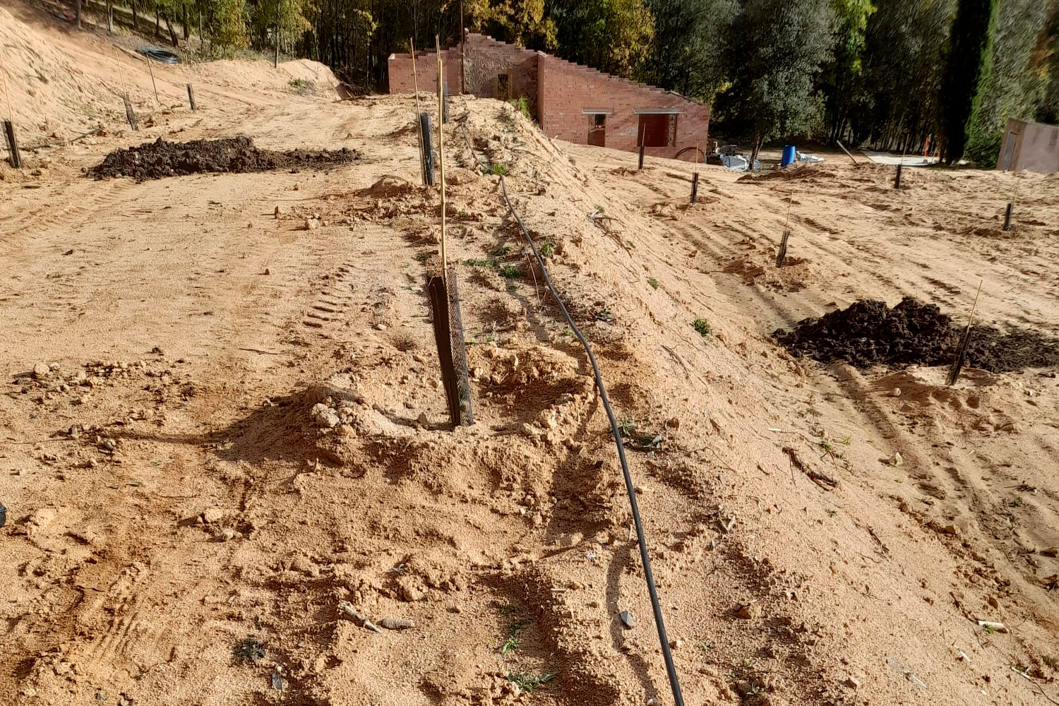 Realització d’instal·lacions de reg per goteig - Gestió Rural 23