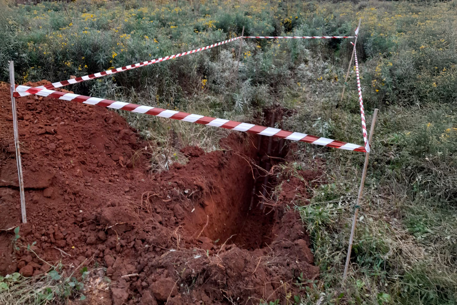 Realització d’analítiques de sòls i fulles i redacció d’informes d’interpretació de resultats - Gestió Rural 23