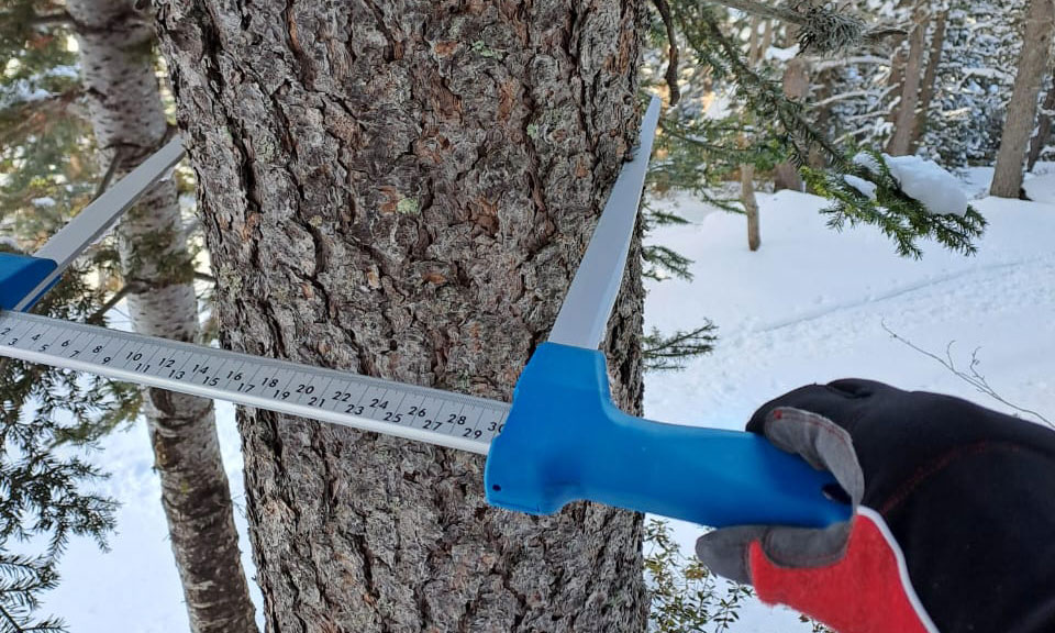 Ordenació forestal - Gestió Rural 23