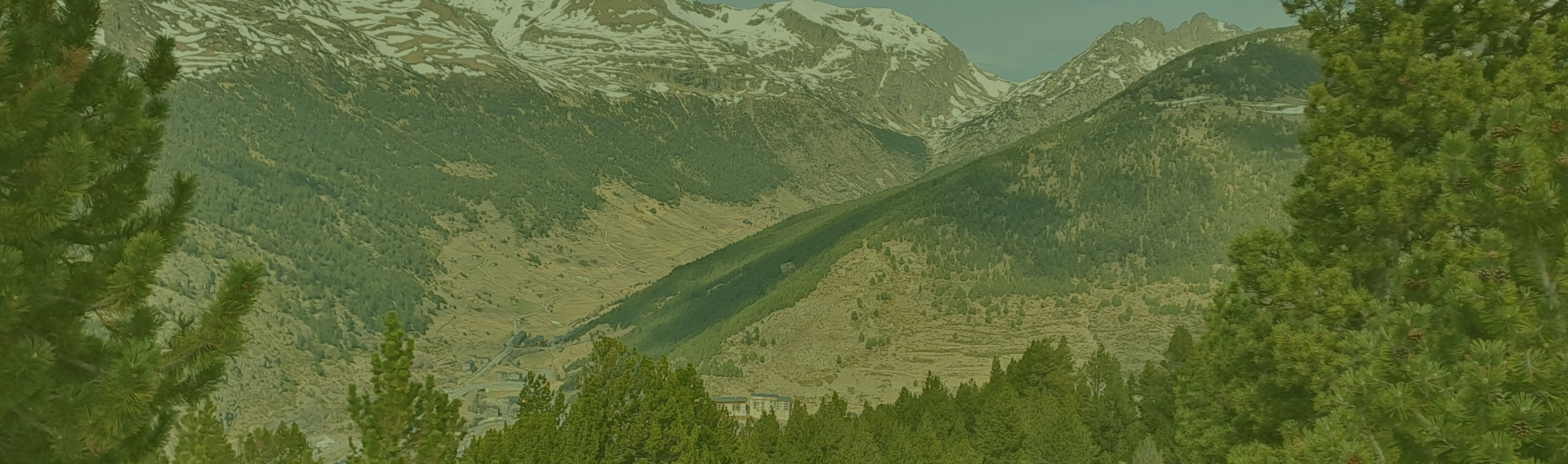 Ordenació forestal - Gestió Rural 23