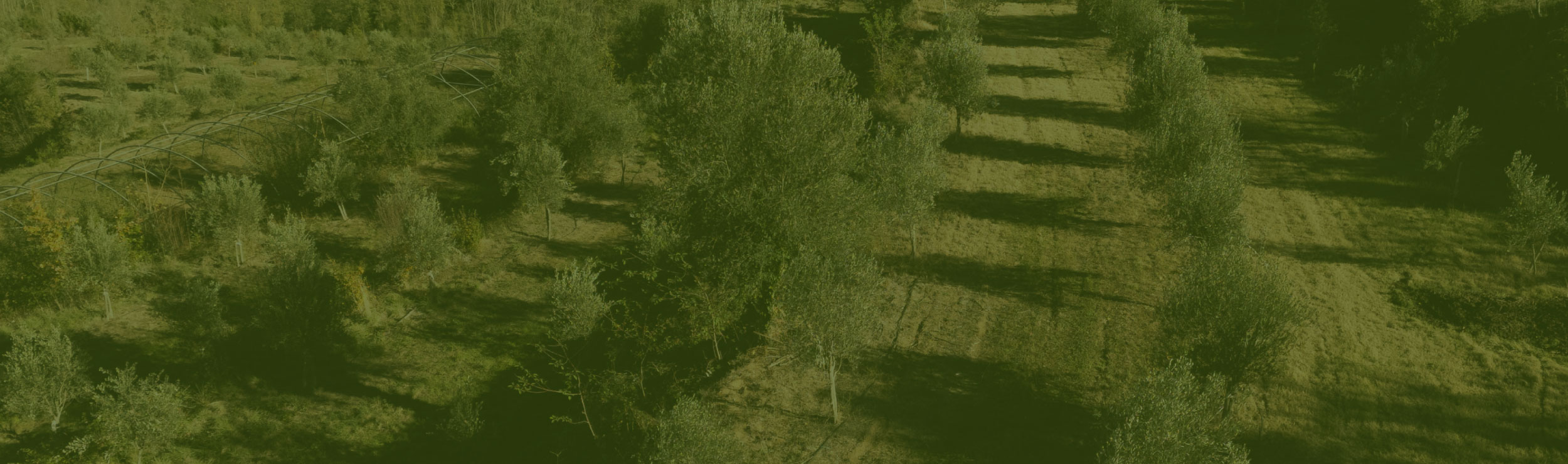 Serveis agrícoles - Gestió Rural 23