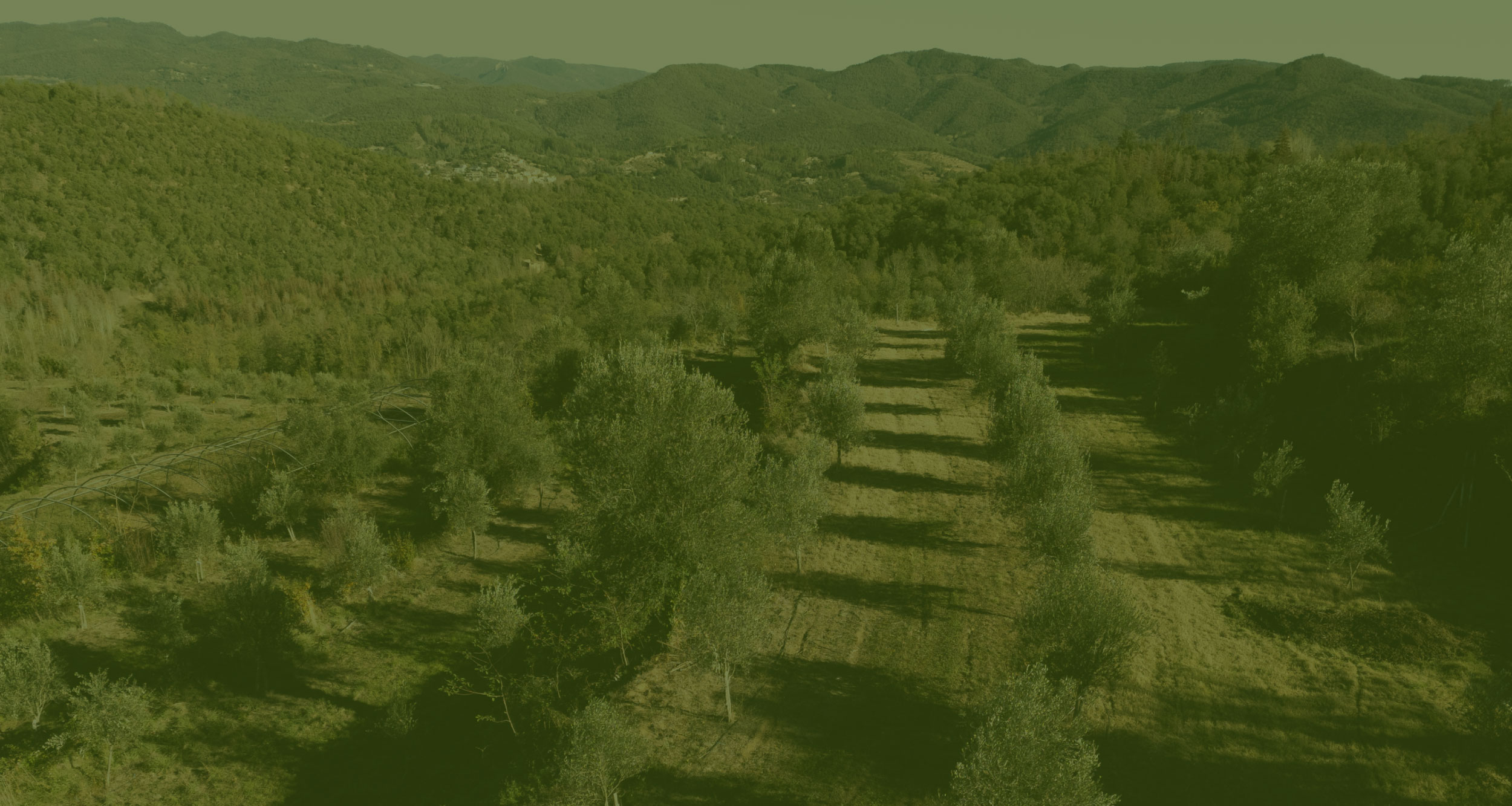 Serveis agrícoles - Gestió Rural 23