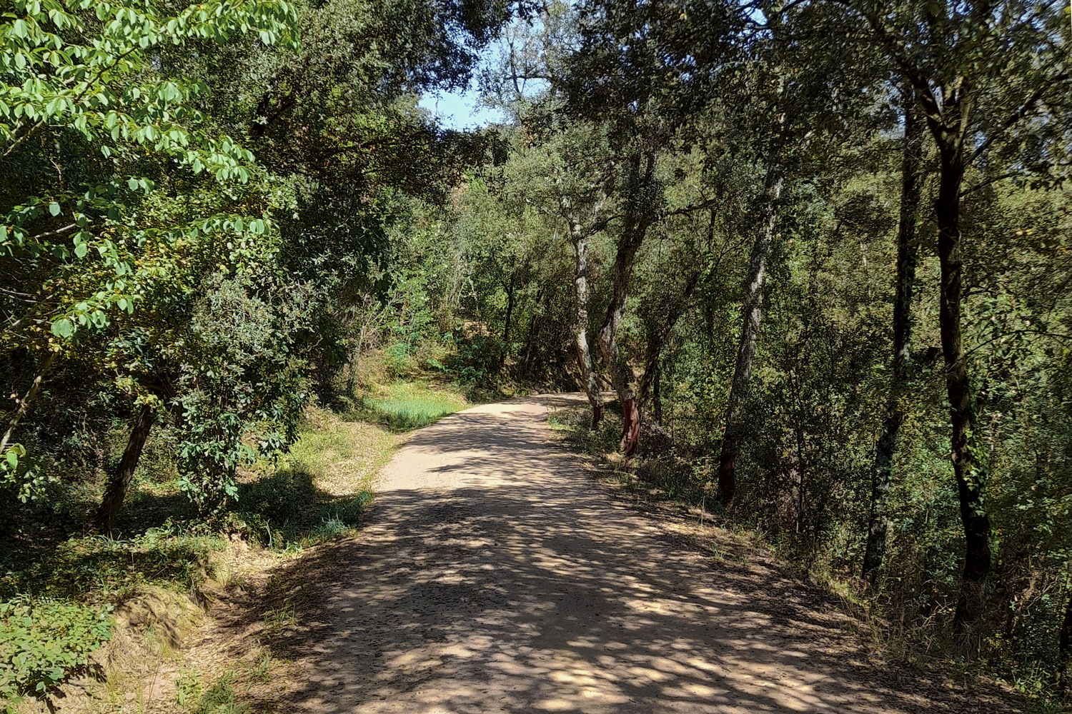 Redacció del Pla de Prevenció d’incendis forestals (PPIF) d’Arbúcies - Gestió Rural 23