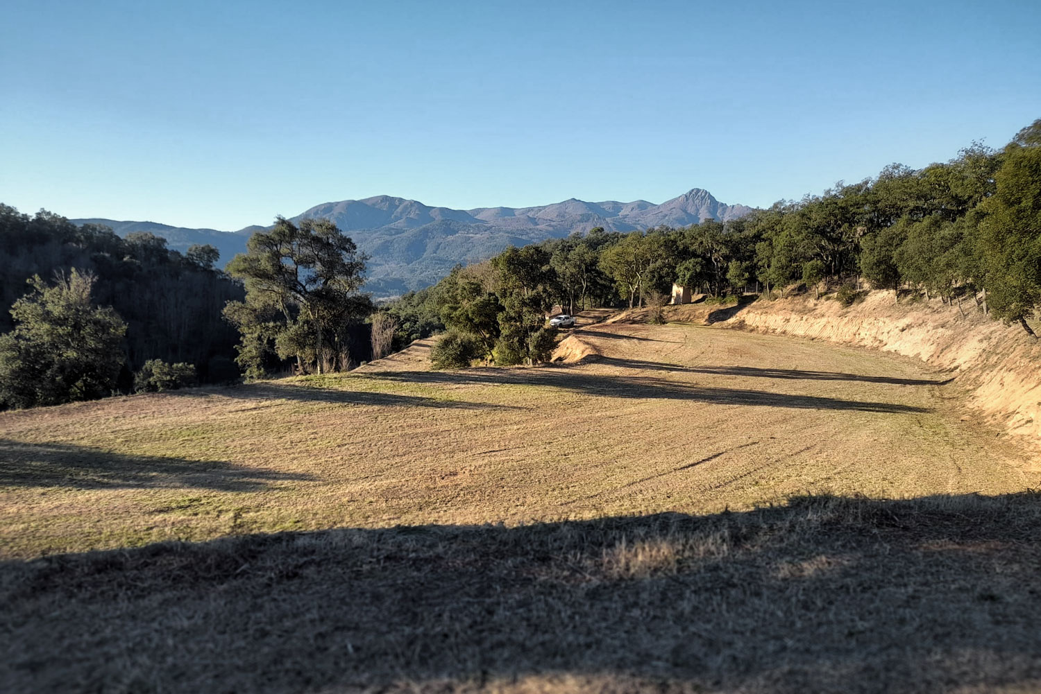 Planificació de la plantació d’oliveres i altres conreus d’una finca a Joanet (Arbúcies) - Gestió Rural 23