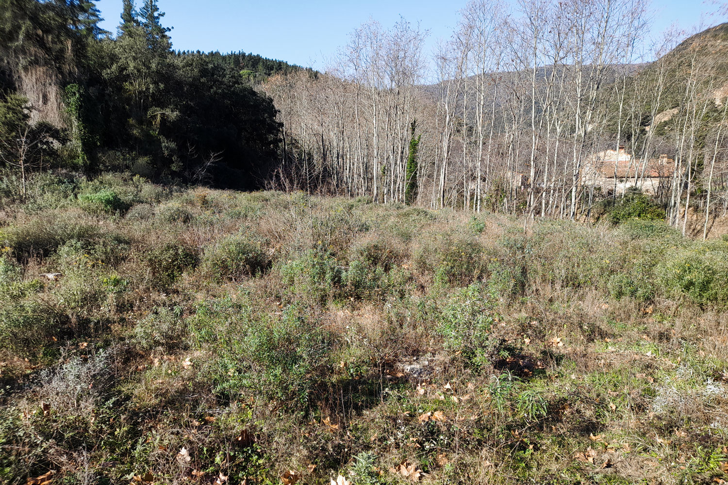 Projecte de l’activitat agrícola de la finca de Can Viader (Gualba) - Gestió Rural 23