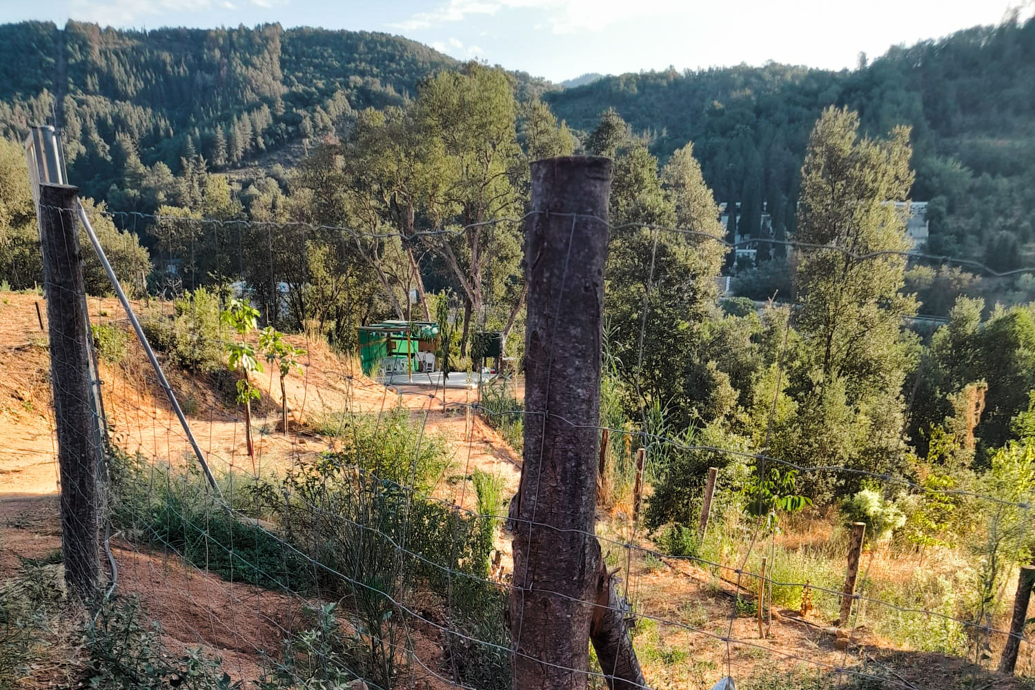 Projecte d’instal.lació d’una tanca ramadera en una finca agroforestal d’Arbúcies - Gestió Rural 23